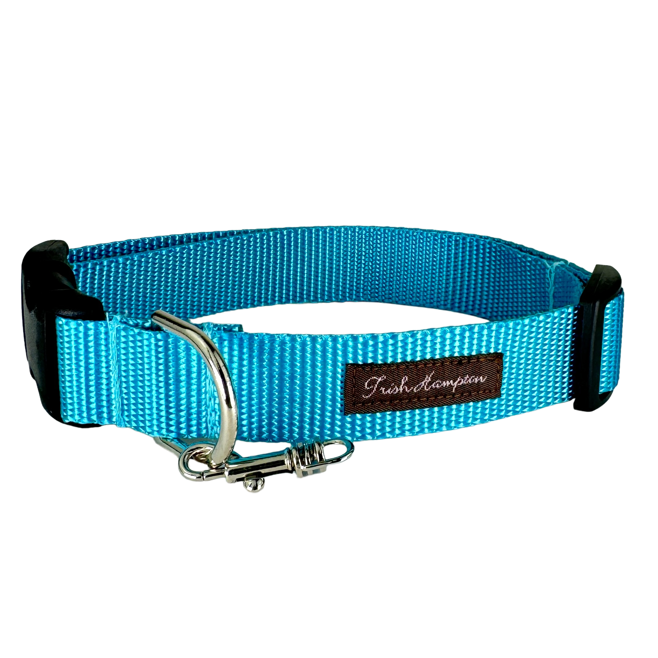 Aqua Nylon Webbing Dog Collar
