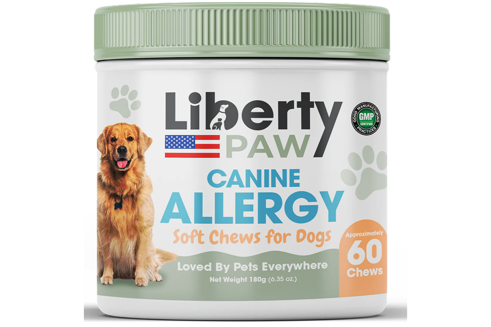 Itchy Dog Scratching? The Solution Pet Parents Swear By for Allergy Relief