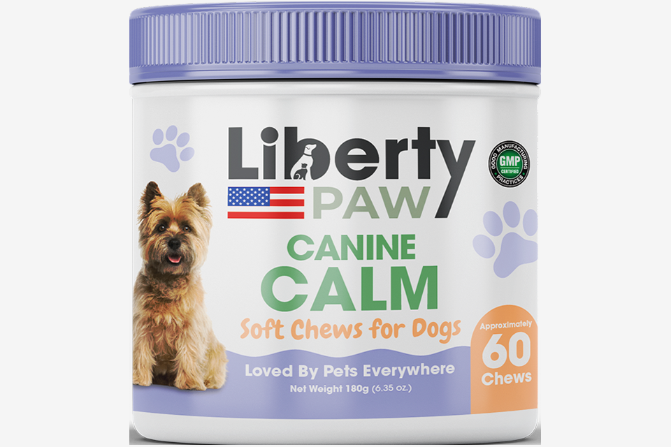 Top 5 Scenarios Where Calming Dog Supplements Save the Day