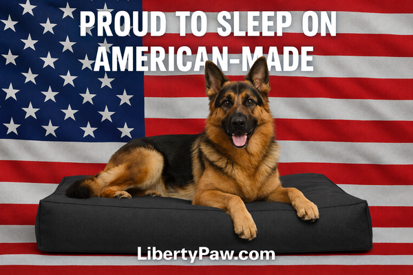 Why Quality Matters: The Authority Guide to American-Made Orthopedic Dog Beds