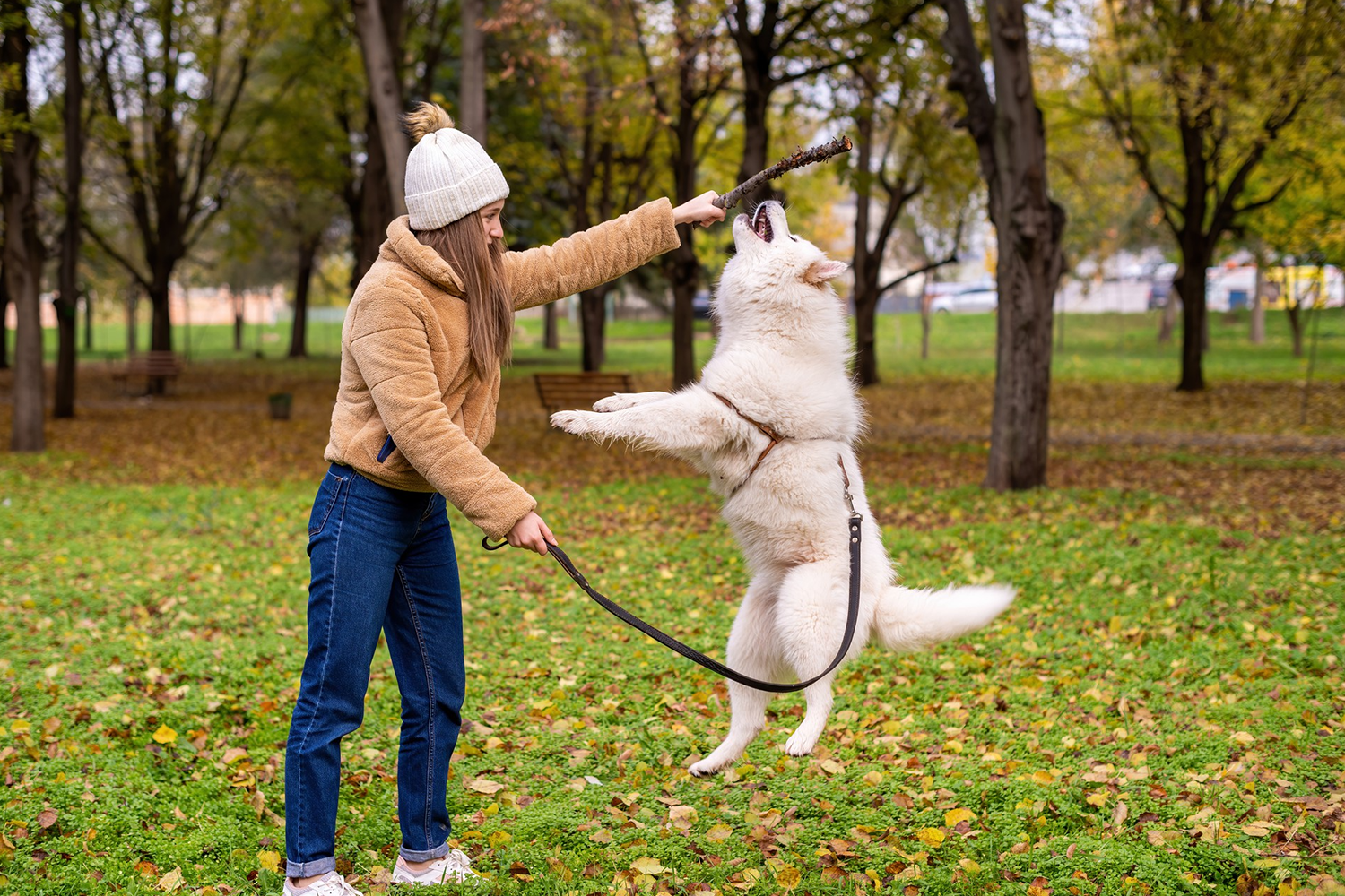 Pet Care Checklist: What Every New Dog Owner Needs
