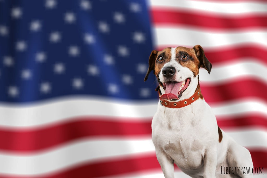 2026 Patriotic Dog Toy Guide for Dogs