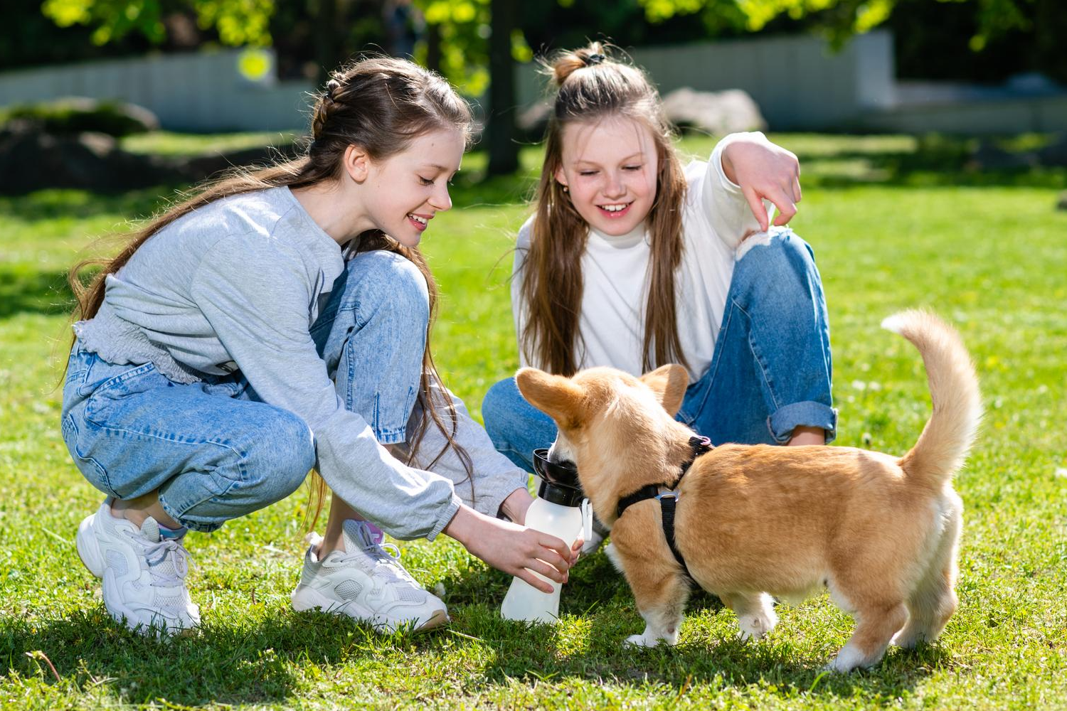 Eco-Friendly Pet Parenting: Small Choices That Make a Big Impact