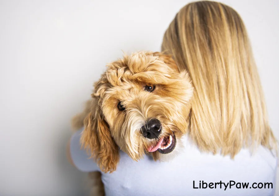 Does Your Doodle Hate Being Brushed? Try This ASMR Grooming Trick