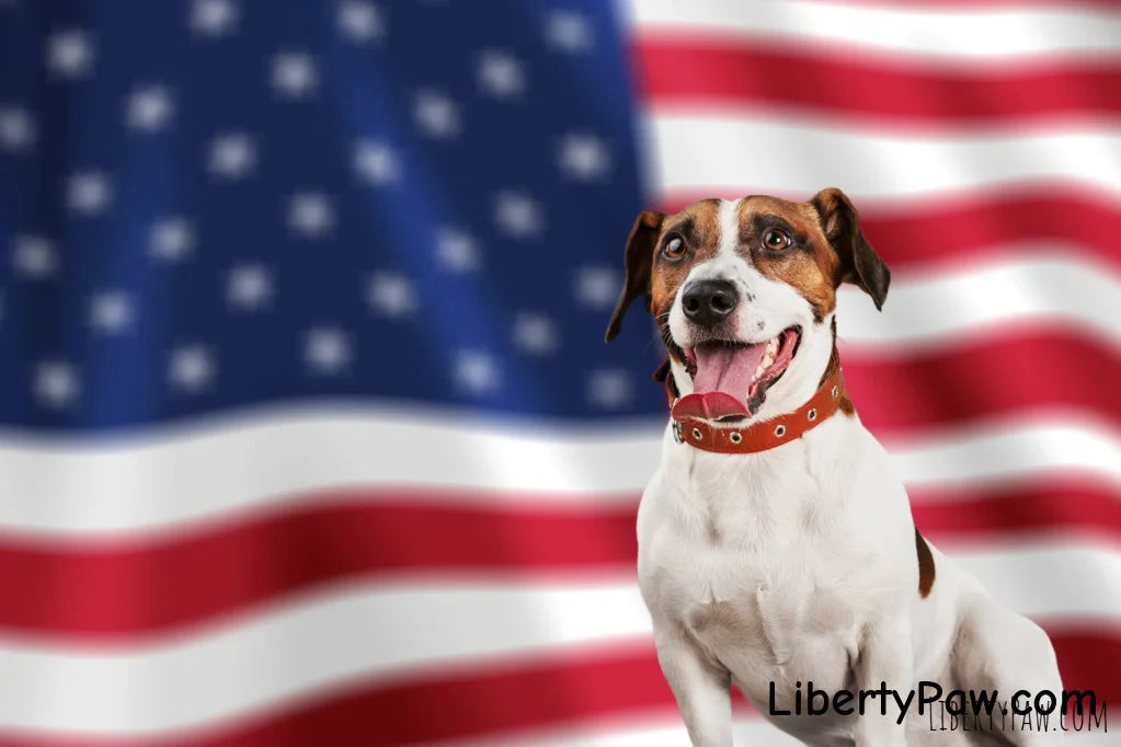 Why Patriotic Dog Owners Choose USA-Made Pet Supplies