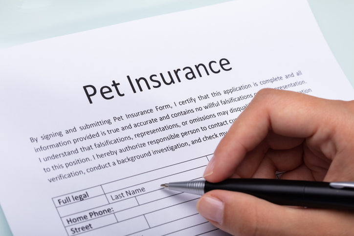 Pet insurance form