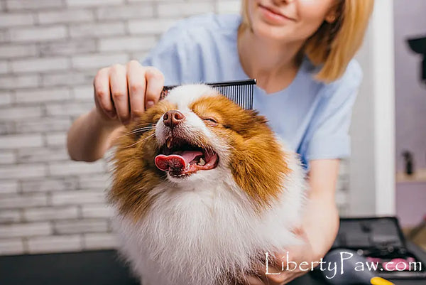 Stop the Tangle: 3 USA-Made Grooming Tools We Trust on Our Own Dogs