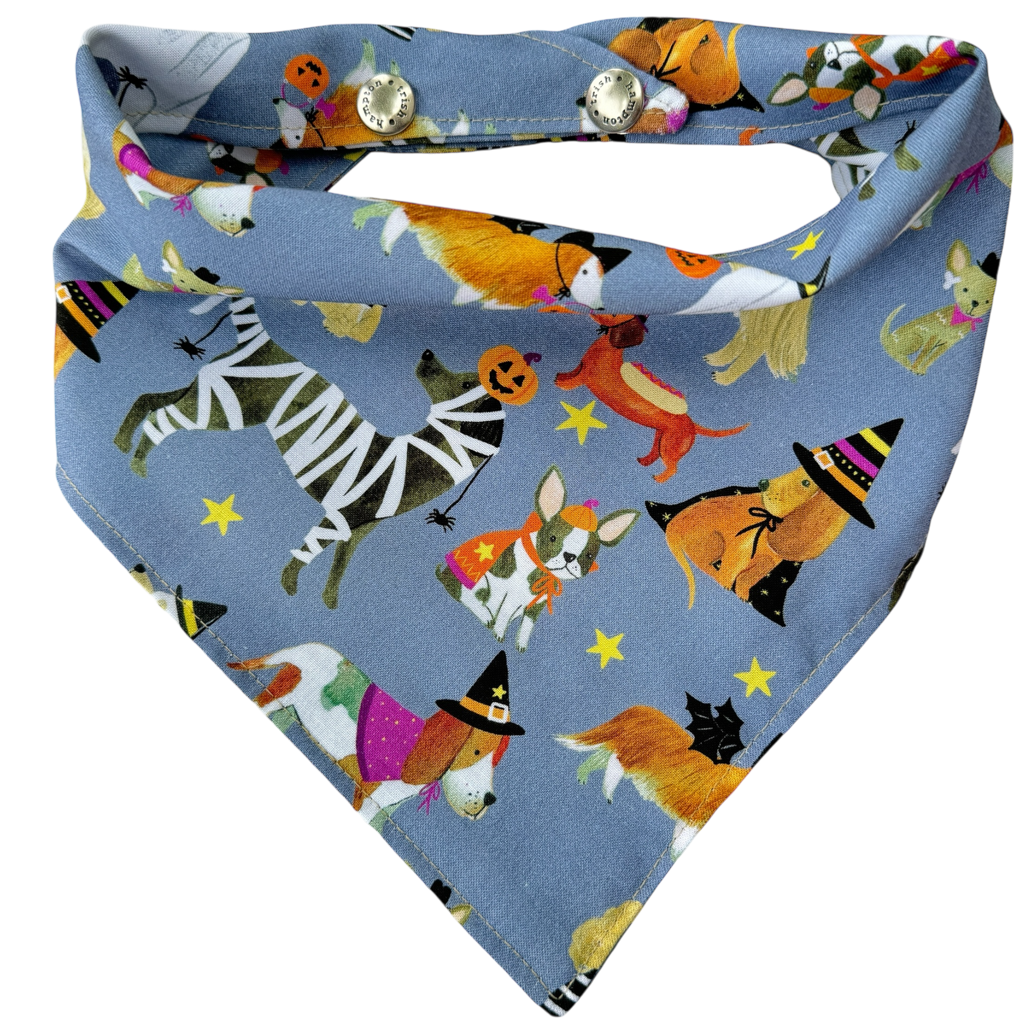 Halloween Dog Days Dog Bandana - 1082