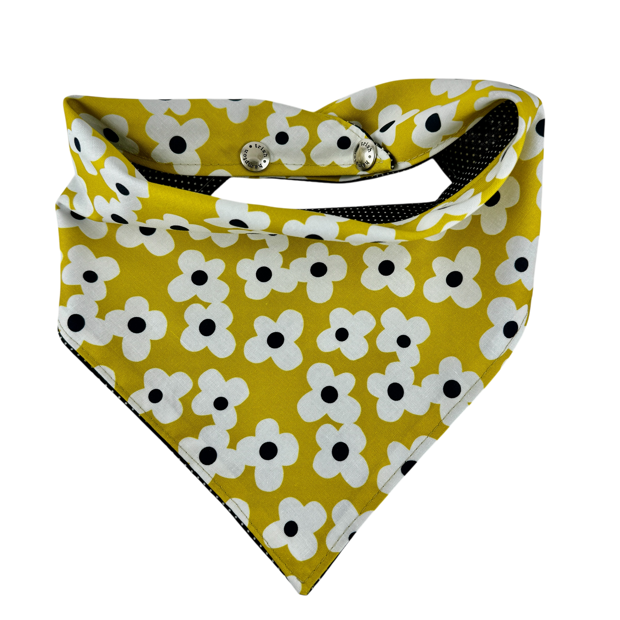 Mustard, White, Black Daisies-1088