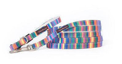 Teacup Rainbow Candy Stripe Collar/Harness/Lead - 112