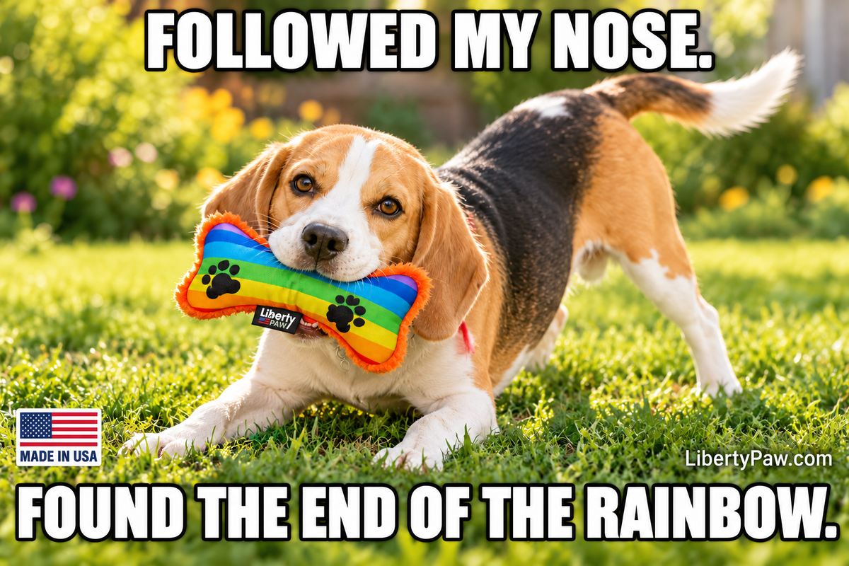 Rainbow Paw Bone Nylon & Fleece Dog Toy | Made in USA