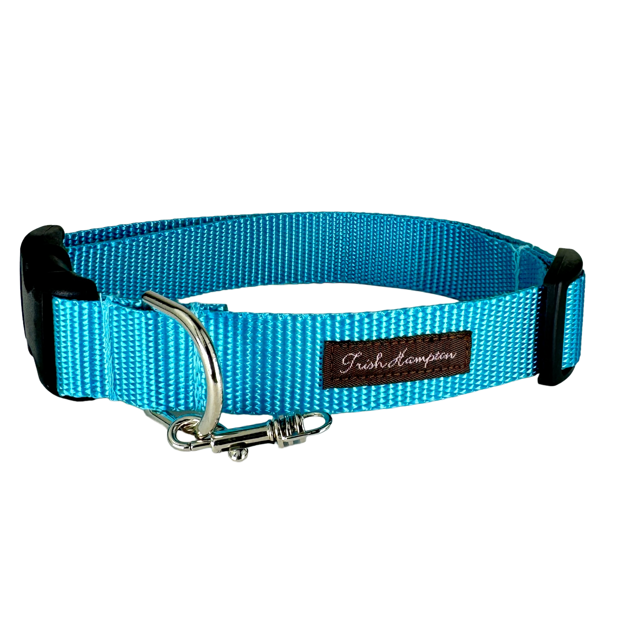 Aqua Nylon Webbing Dog Collar