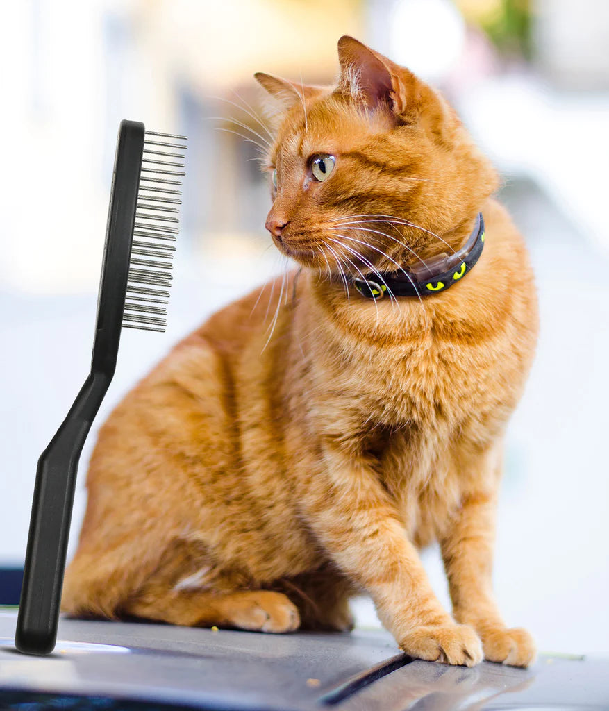 Black Pet Brush with cat