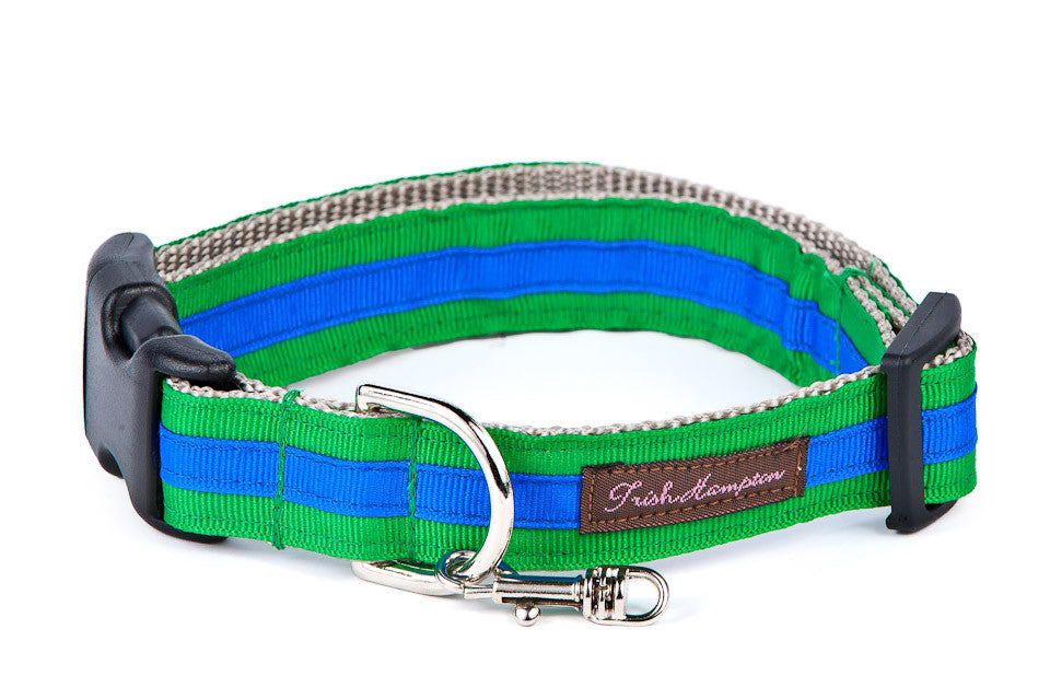 Kelly Green/Bright Blue Stripe Dog Collar - 326