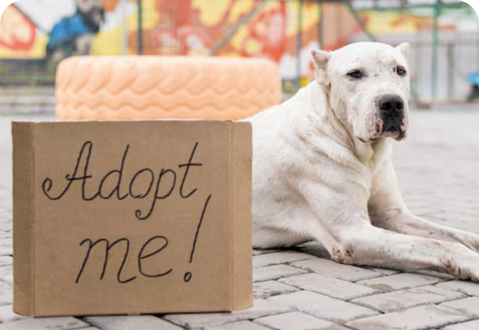 Community, Giving Back and Charities