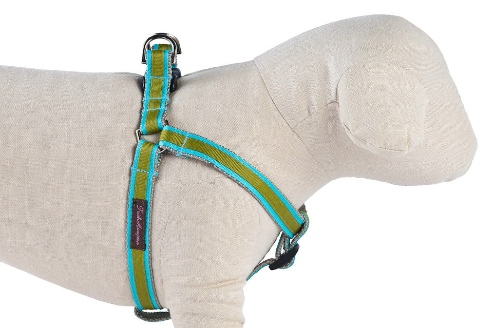 Turquoise/Sage Stripe  Dog Harness - 324