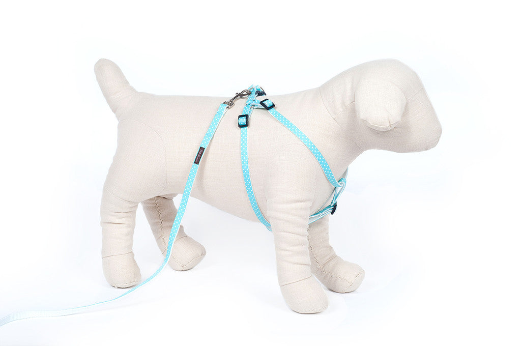 Teacup Rainbow Candy Stripe Collar/Harness/Lead - 112