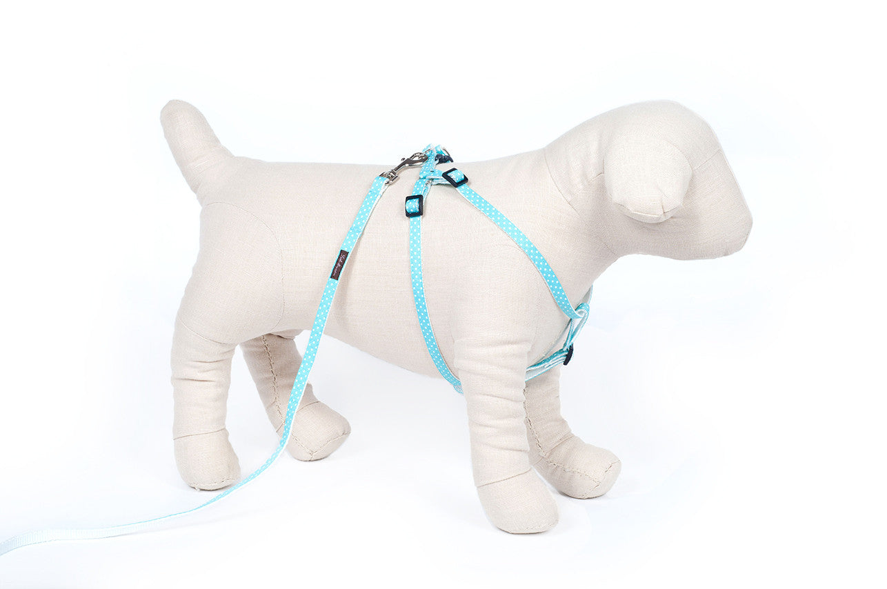 Teacup Pink/White Mini Polka Collar/Harness/Lead - 104