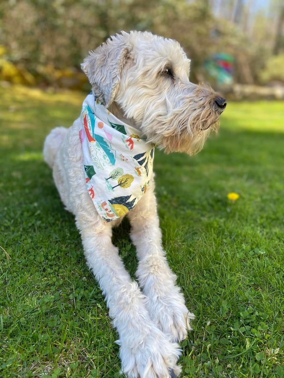 Happy Camper Dog Bandana - 1064