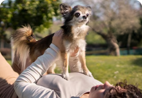 Lifestyle and Ownership Advice