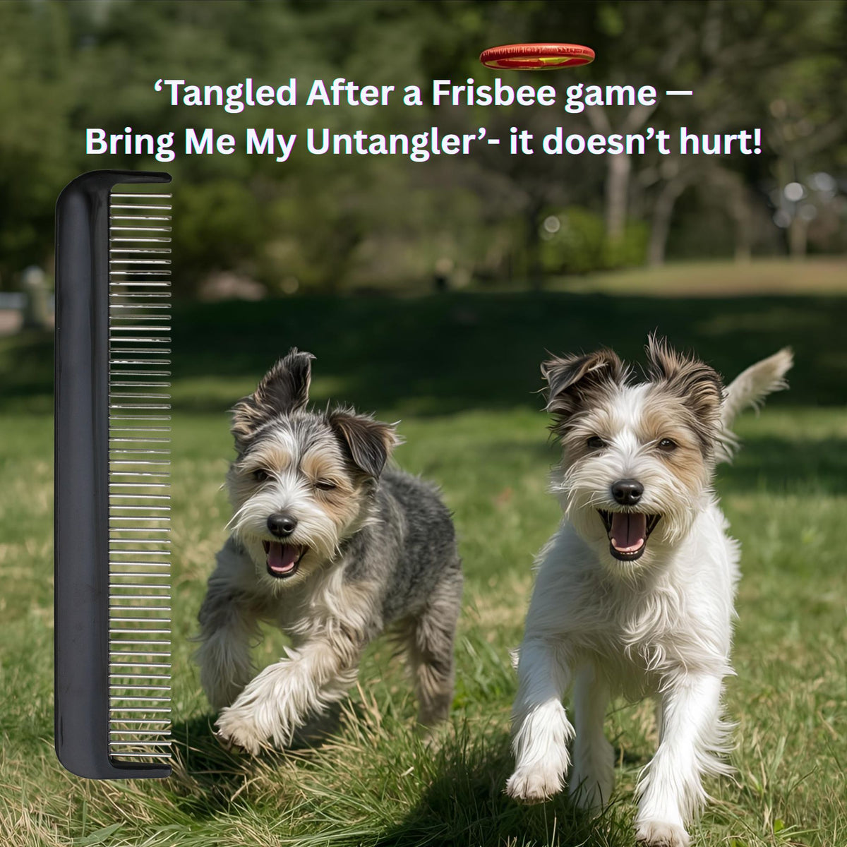Two terriers with the Untangler 7-inch Pet Comb