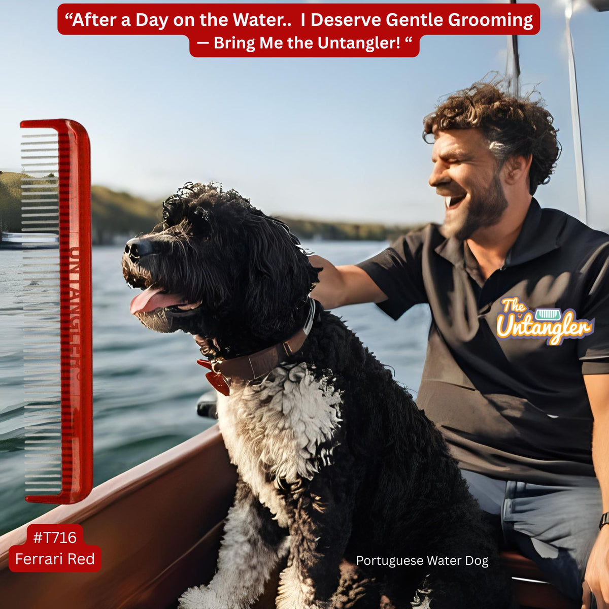 Portuguese Water Dog groomed with the Untangler 7-inch Pet Comb
