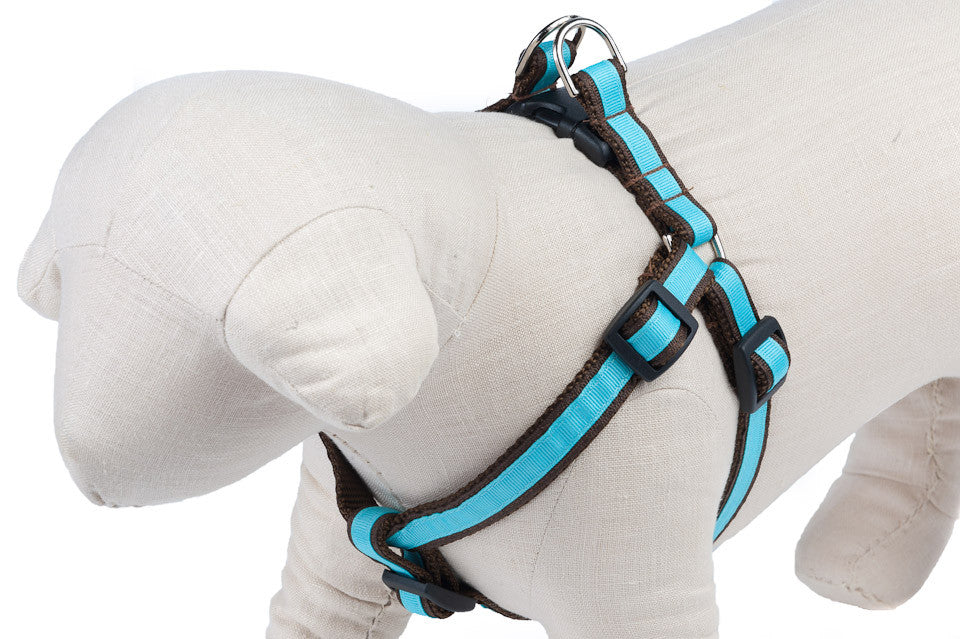 Chocolate/Turquoise Stripe Dog Harness - 304