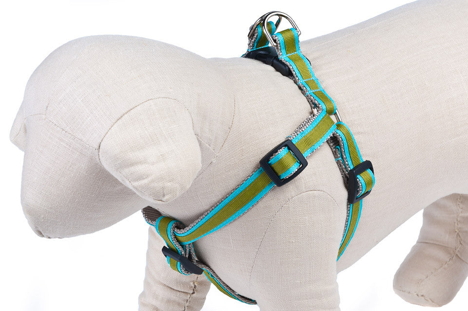 Turquoise/Sage Stripe  Dog Harness - 324