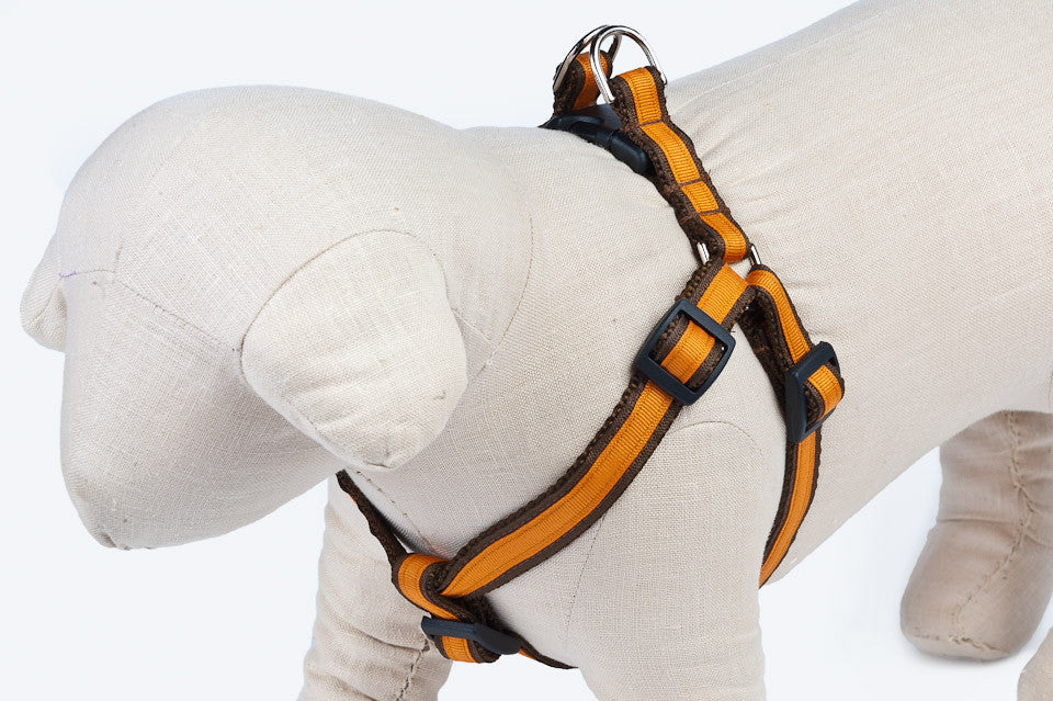 Chocolate/Orange Stripe Dog Harness - 303