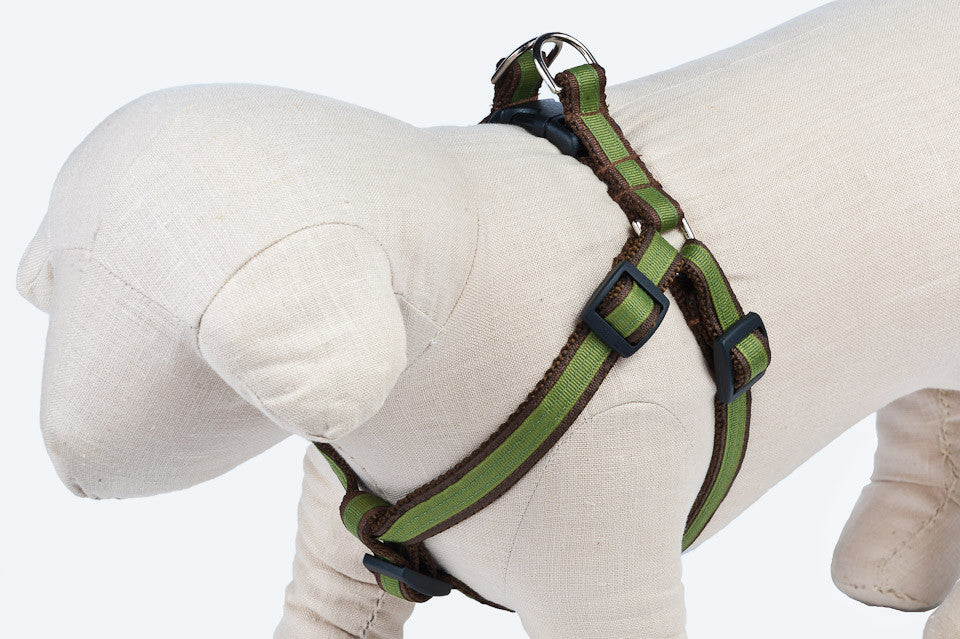 Chocolate/Green Stripe Dog Harness - 301
