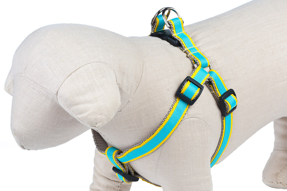 Yellow/Turquoise Stripe Dog Harness - 318