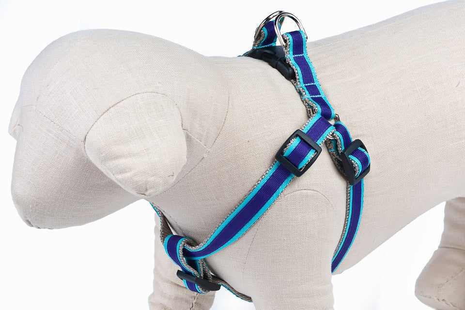 Turquoise/Deep Purple Stripe Dog Harness - 317