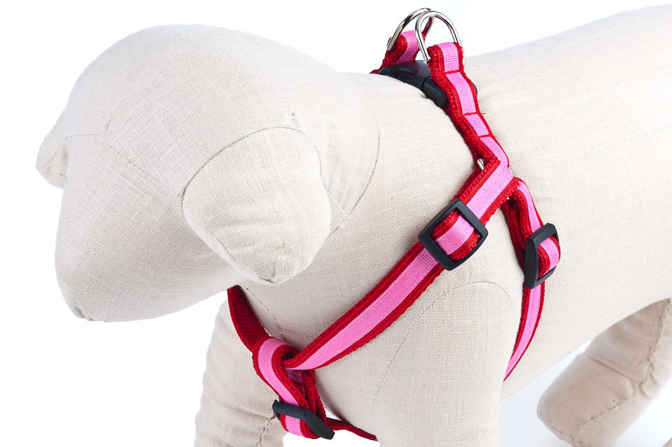Red/Hot Pink Stripe Dog Harness - 325