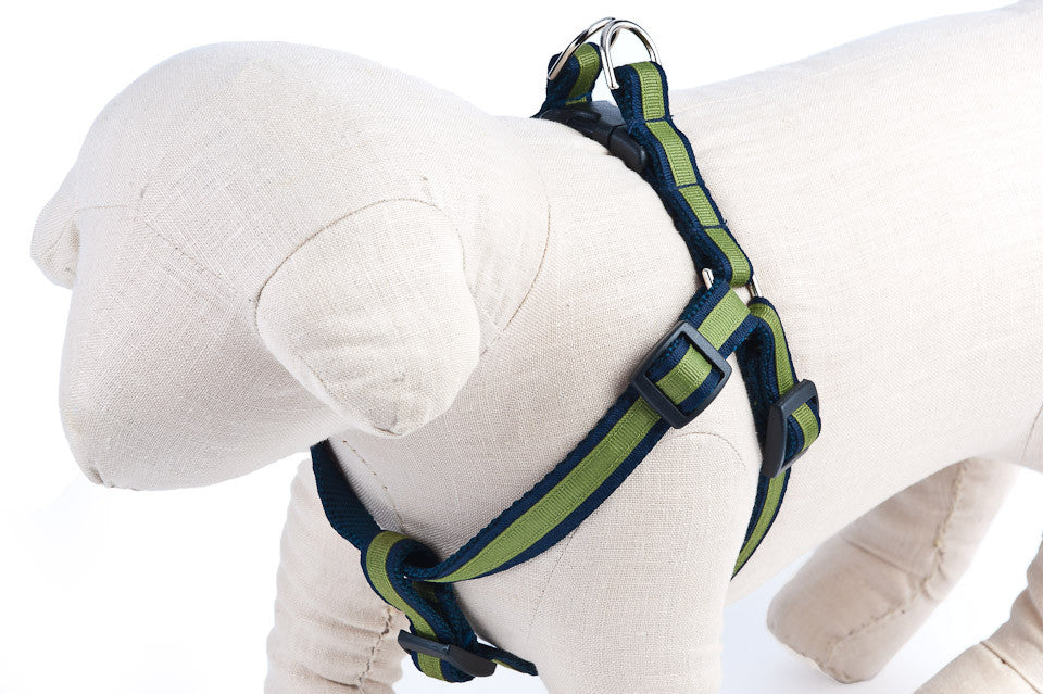 Navy/Green Stripe  Dog Harness - 306