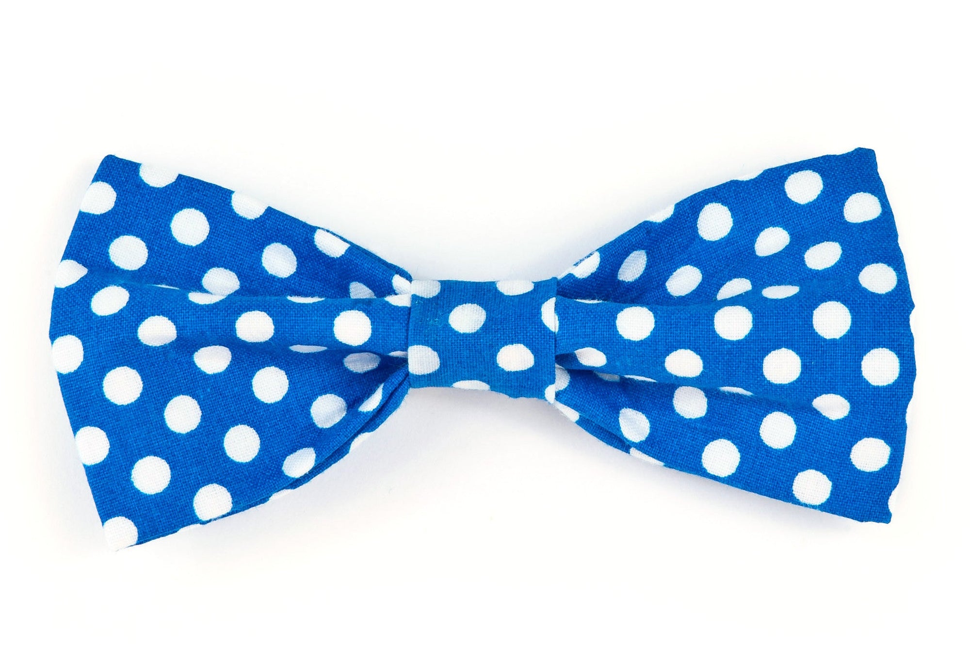 Royal Blue/White Dot Dog Bow Tie - 921