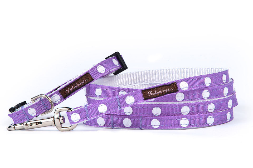 Teacup Purple/White Dots Collar/Harness/Lead - 119