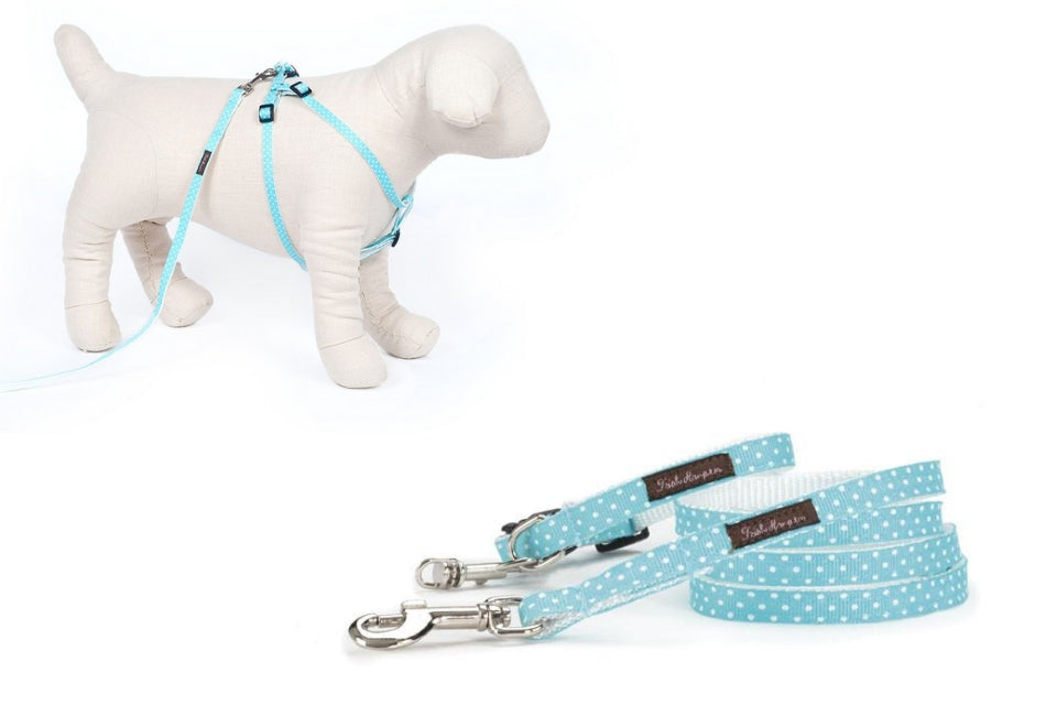 Teacup Aqua/White Mini Polka - 101