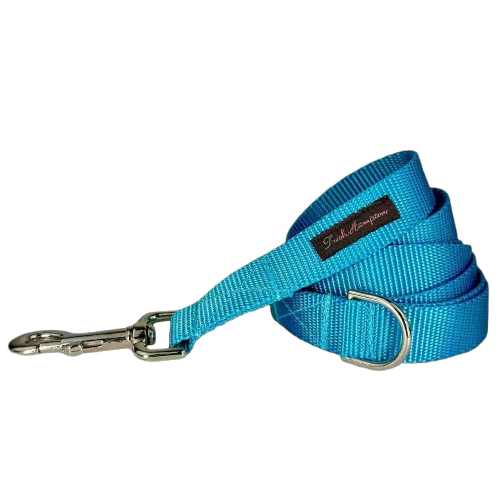 turquoise nylon dog leash with durable webbing and secure metal hardware