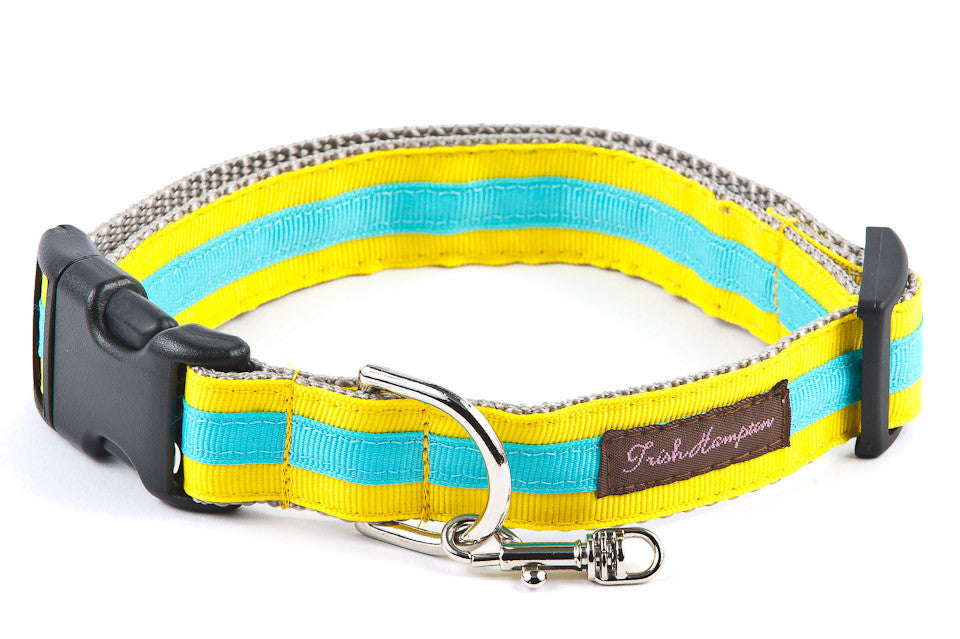 TurquoiseStripe Dog Collar