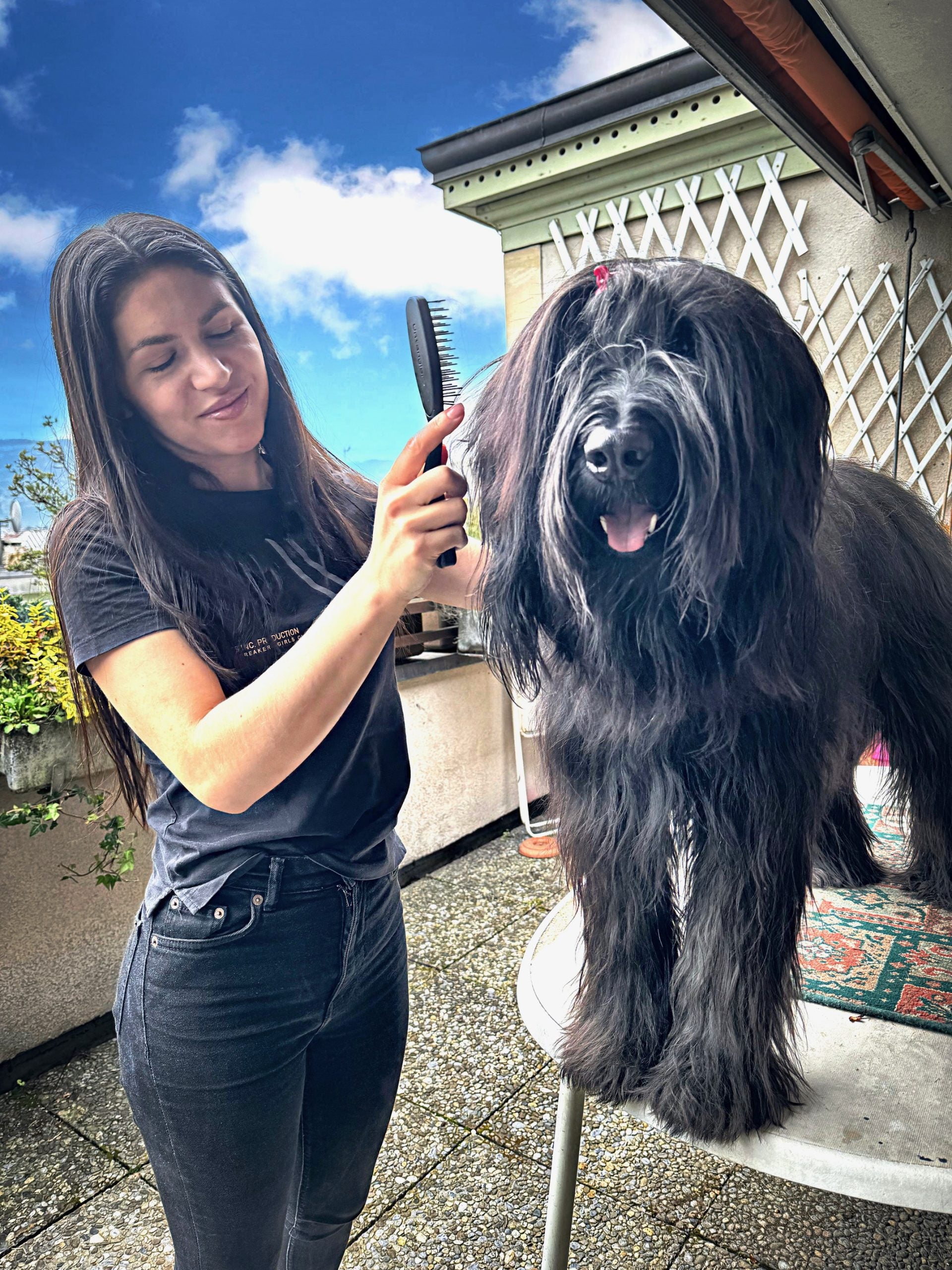Woman brushing dog