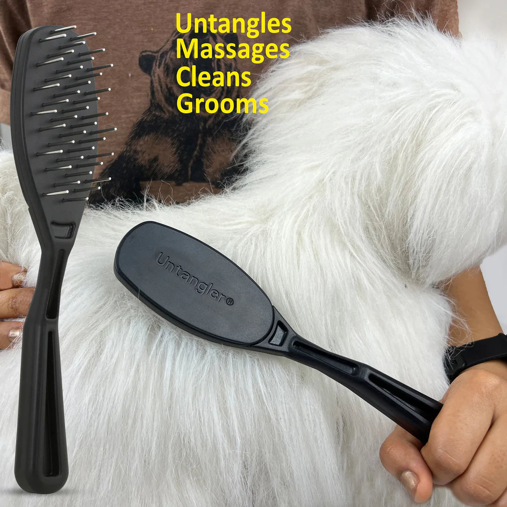 Black untangler brush on white dog