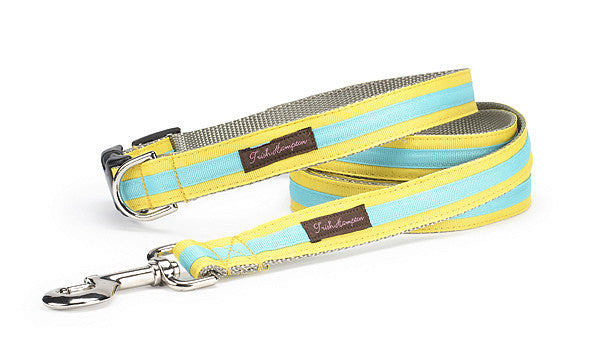Turquoise Stripe Dog Collar