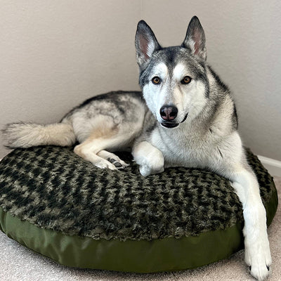 Round cushioned dog bed with soft bolstered edge