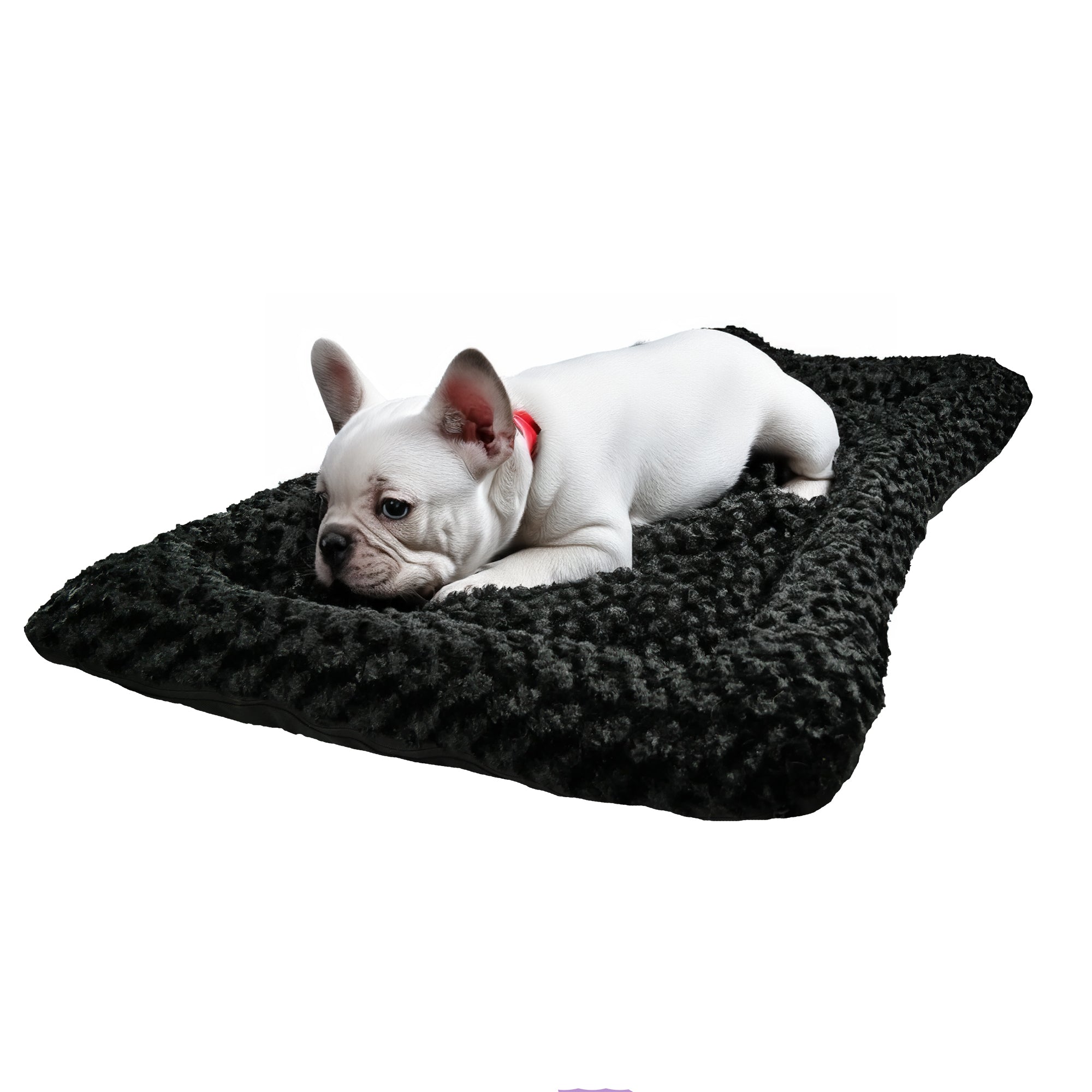 American Dog Dog Beds Medium 29" x 23" / Black Dog Bed Rectangle Bolster Furvana™ 'Cloud'