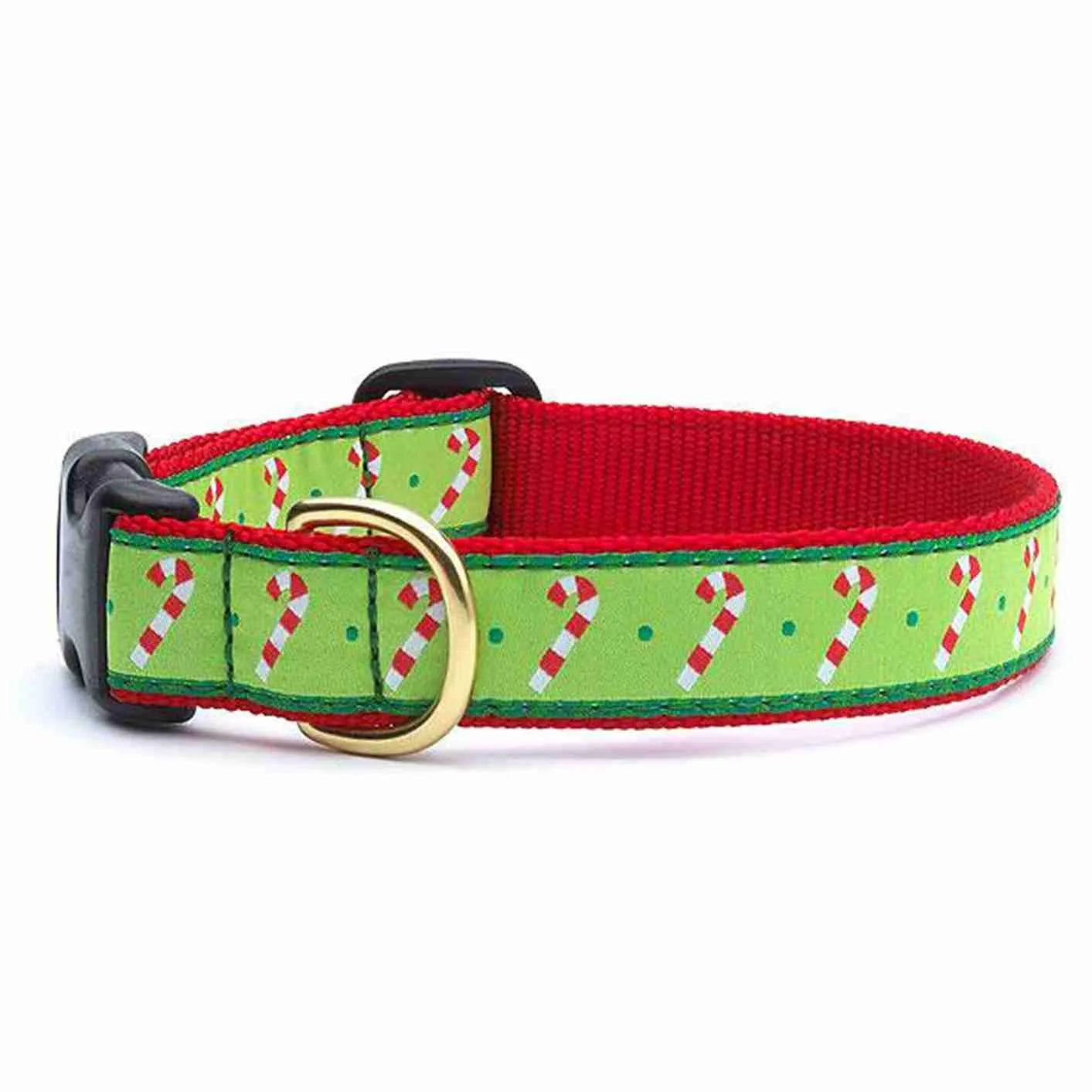 Close-up of Candy Cane Dog Collar with green background and red candy canes