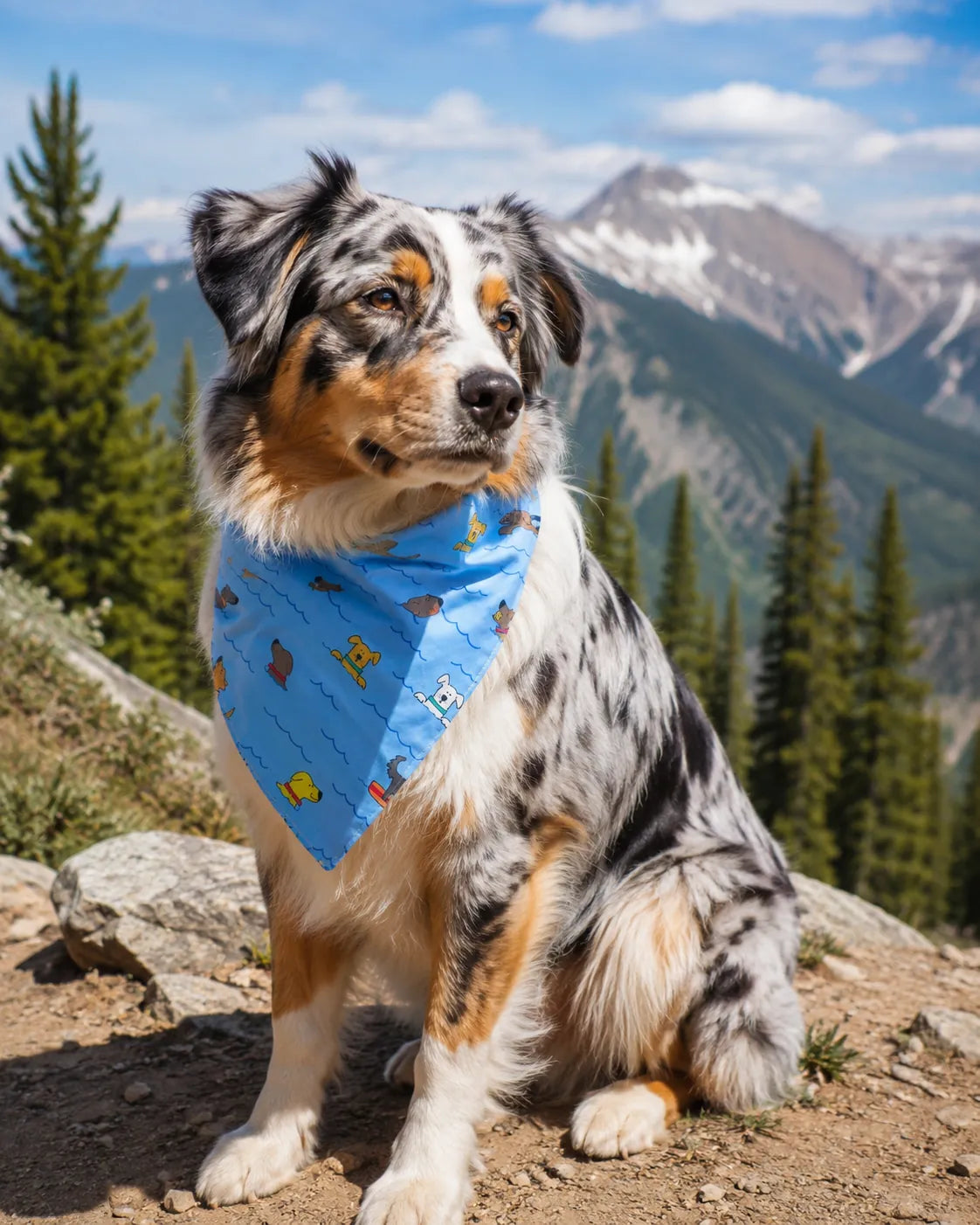 Australian Shepherd wearing a light blue Doggy Paddle print dog bandana on a mountain ridge