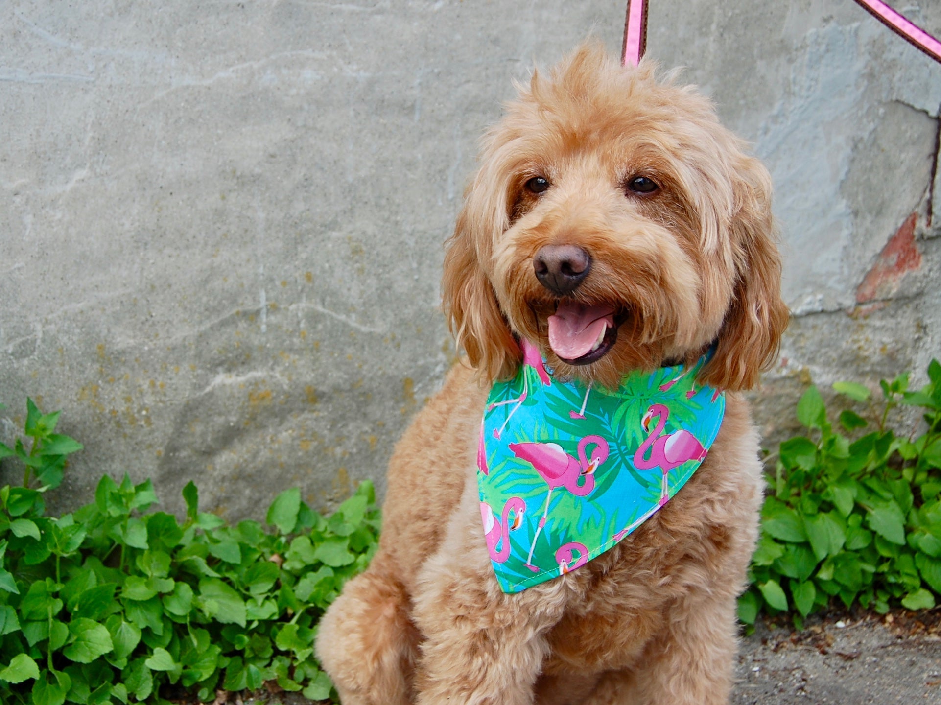 Flamingos/Palm Tree Dog Bandana - 1021