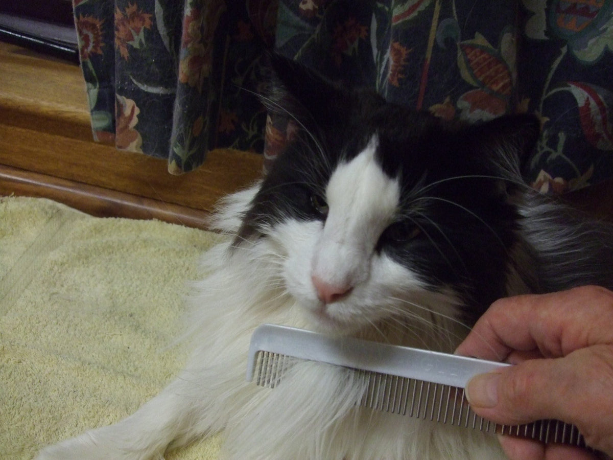 LIBERTY PAW  Cat Comb Dual-Spaced Stainless-Steel Rotating Teeth for detangling and grooming. Vet Recommended!