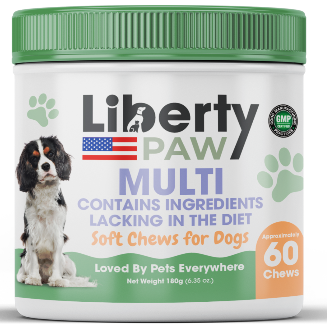 Front of LibertyPaw Canine Multi soft chews jar with a Cavalier Spaniel on the green-lid label