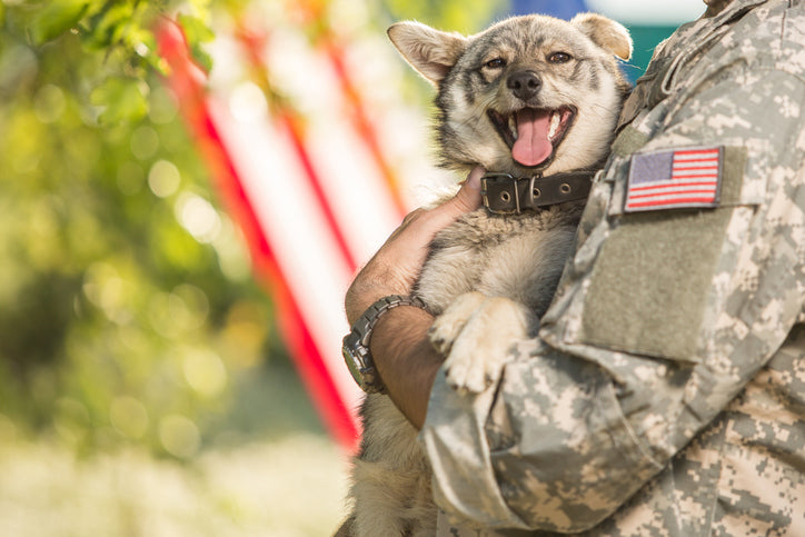 U.S. soldier in camouflage holding a happy rescue dog in front of an American flag